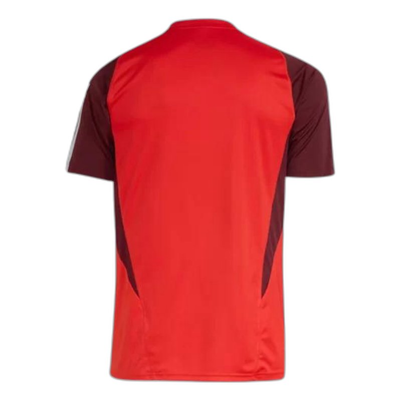 Camisola Internacional 24/25 Treino - Versão Adepto
