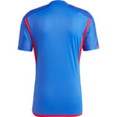 Camisola Olympique Lyon 23/24 II Away - Versão Adepto